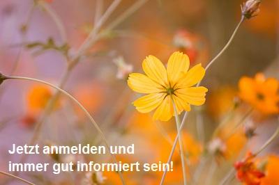 Newsletter Anmeldung Paritätische Akademie